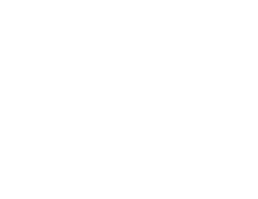 Narciss Flowers